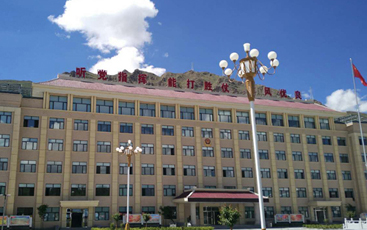 競達(dá)水電遠(yuǎn)程集抄系統(tǒng)成功登陸世界屋脊的“圣地”拉薩！